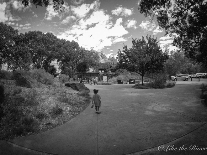DCIM100GOPRO