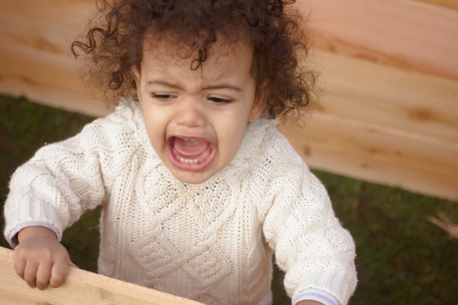 making raised beds-2