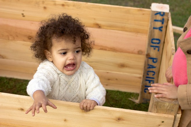 making raised beds-3