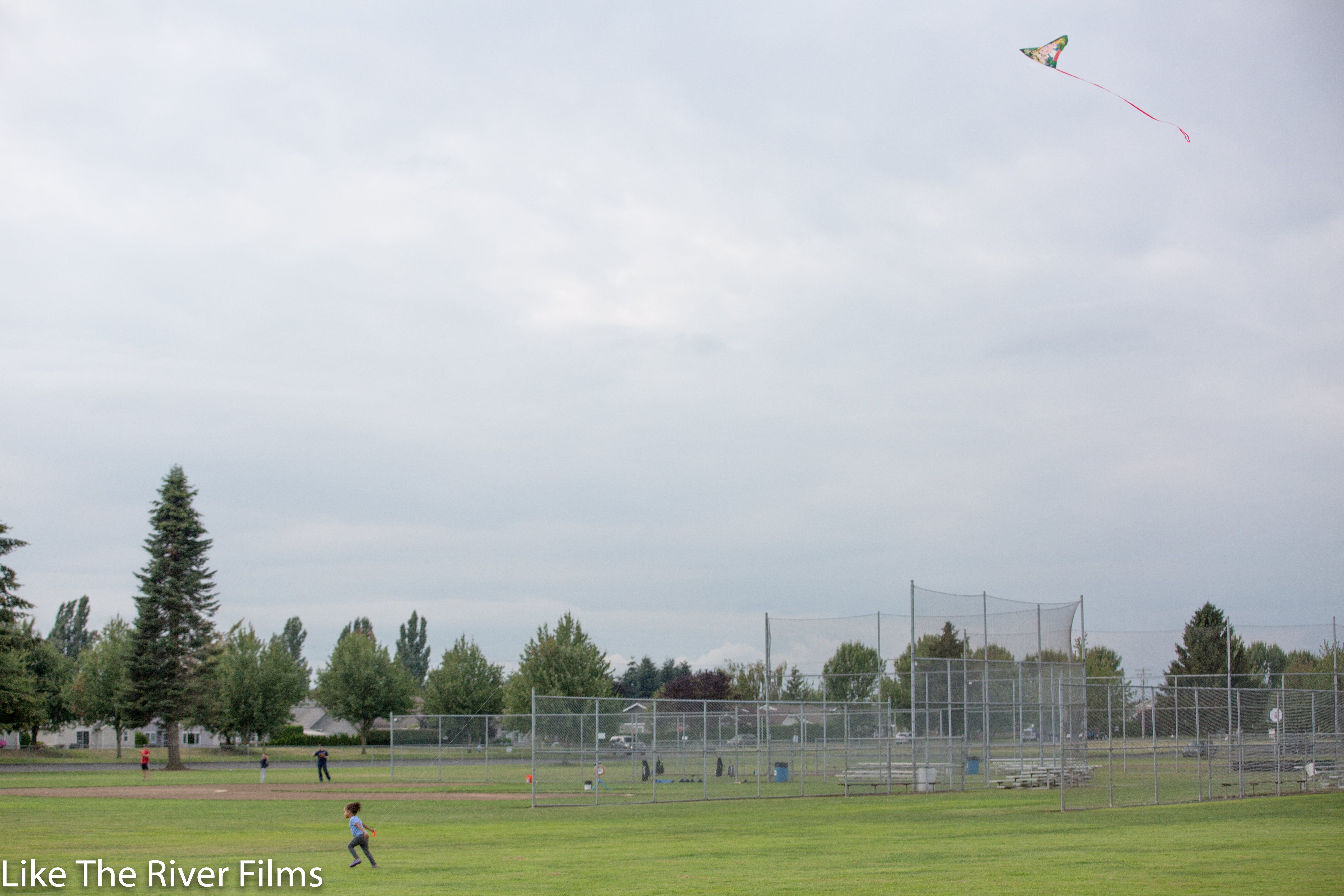 Charlotte and the kite-5