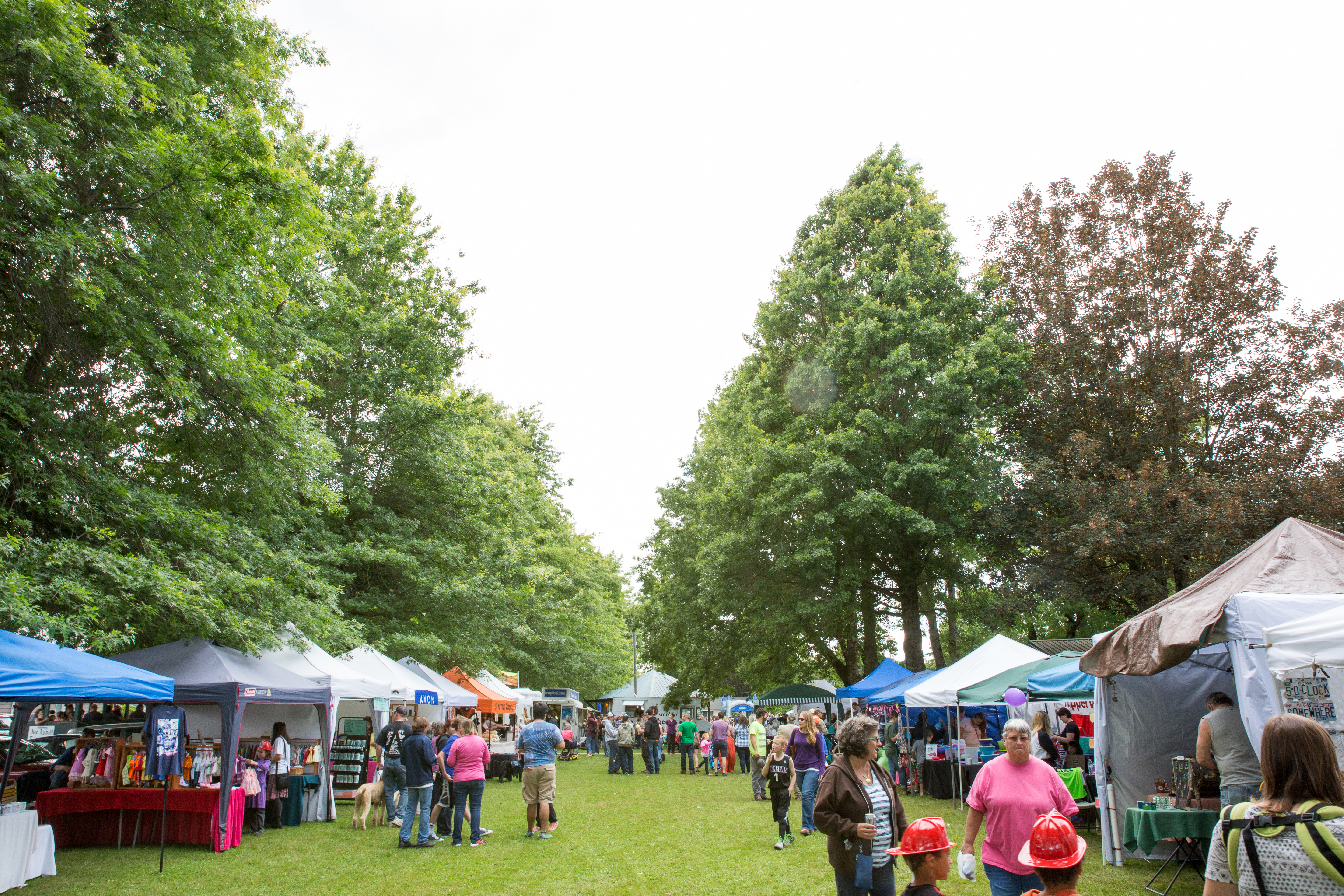 Everson_days_2016-32